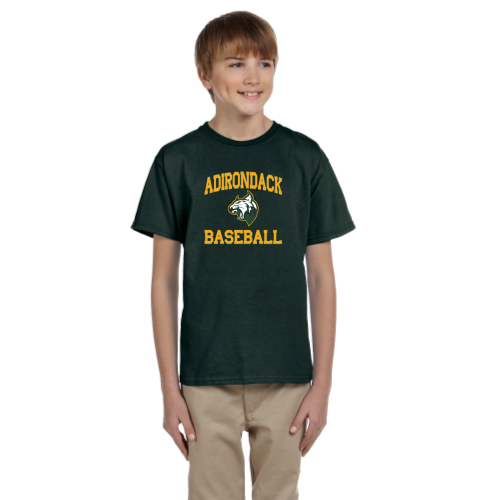 Load image into Gallery viewer, Adirondack Baseball - Youth Short Sleeve Cotton Tee
