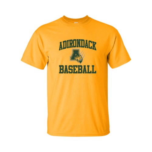 Load image into Gallery viewer, Adirondack Baseball - Adult Short Sleeve Cotton Tee
