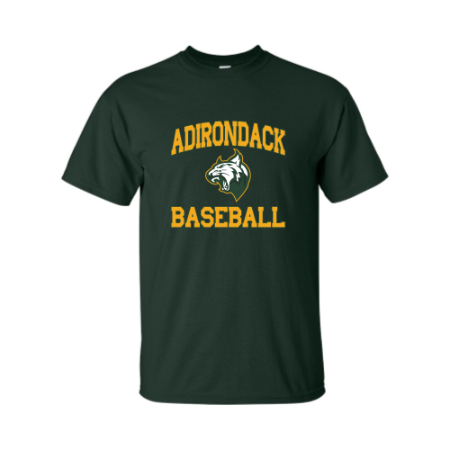 Load image into Gallery viewer, Adirondack Baseball - Adult Short Sleeve Cotton Tee
