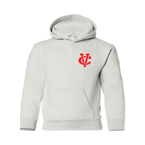 Load image into Gallery viewer, Coosa Valley Softball - Youth Pullover Hood Sweatshirt
