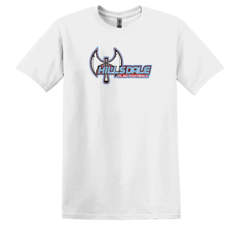 Load image into Gallery viewer, Hillsdale Football - Gildan - Heavy Cotton T-Shirt
