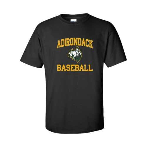 Load image into Gallery viewer, Adirondack Baseball - Adult Short Sleeve Cotton Tee
