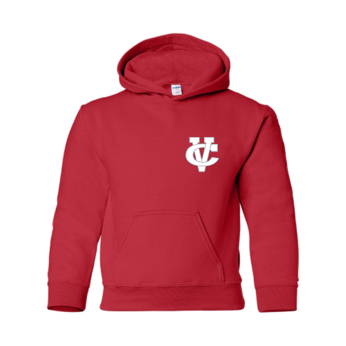 Load image into Gallery viewer, Coosa Valley Softball - Youth Pullover Hood Sweatshirt
