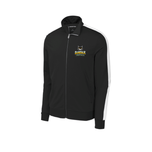 Load image into Gallery viewer, Dundalk High School - Sport-Tek Tricot Sleeve Stripe Track Jacket
