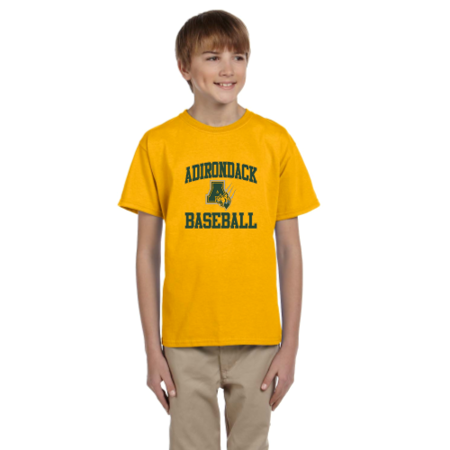 Load image into Gallery viewer, Adirondack Baseball - Youth Short Sleeve Cotton Tee
