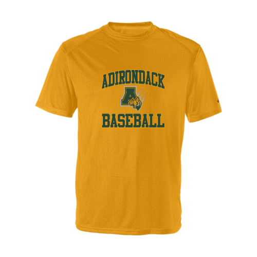 Load image into Gallery viewer, Adirondack Baseball - Adult B-Core SS Performance Tee
