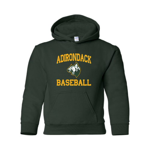 Adirondack Baseball - Youth Pullover Hood Sweatshirt