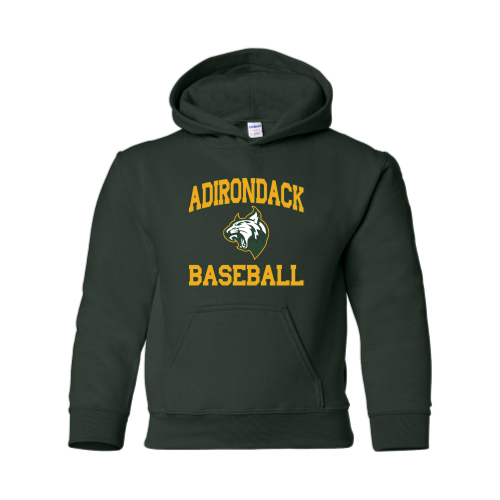 Load image into Gallery viewer, Adirondack Baseball - Youth Pullover Hood Sweatshirt
