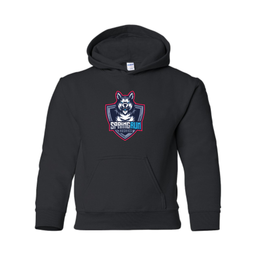 Load image into Gallery viewer, Spring Run - Youth Pullover Hood Sweatshirt
